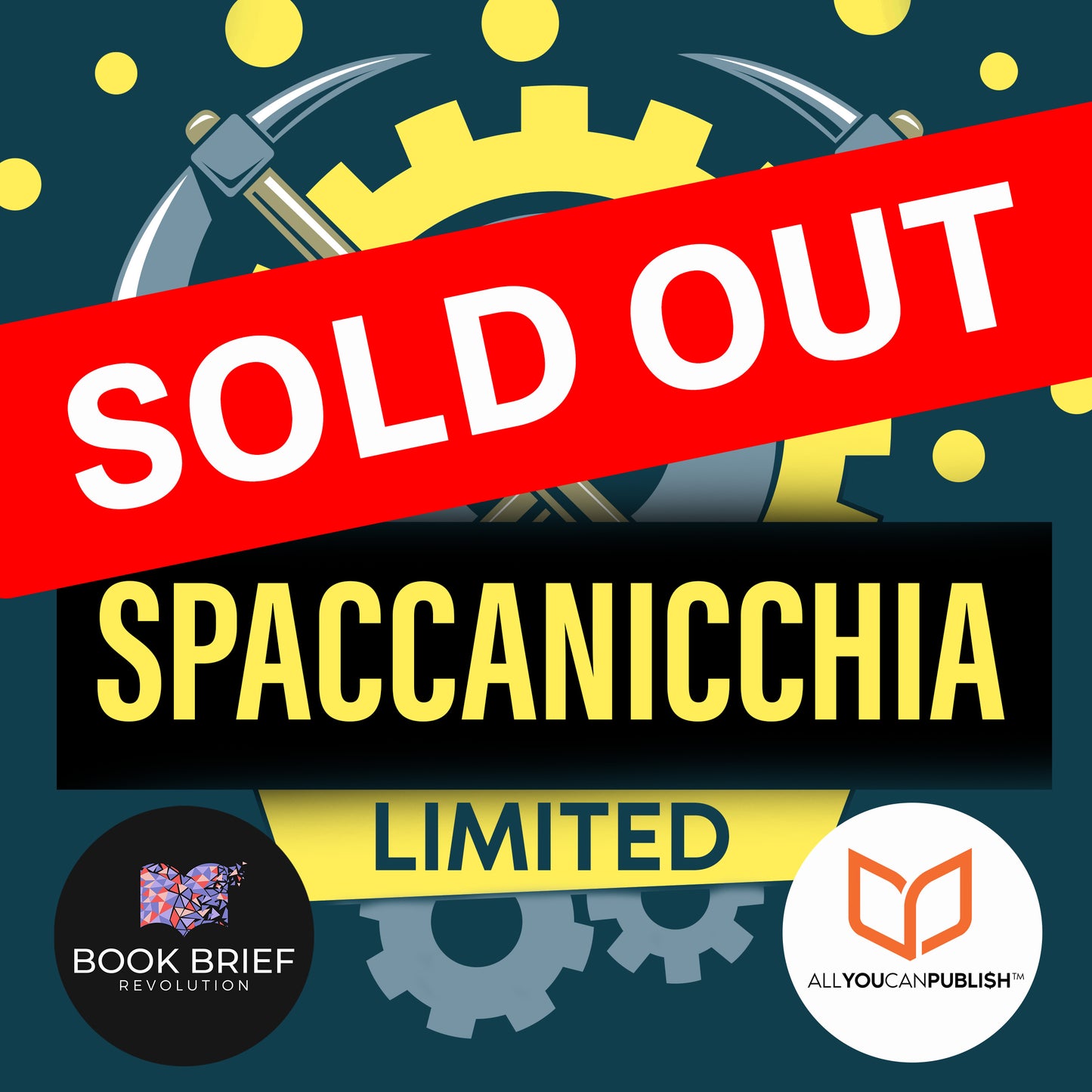 OFFERTA "SPACCANICCHIA"